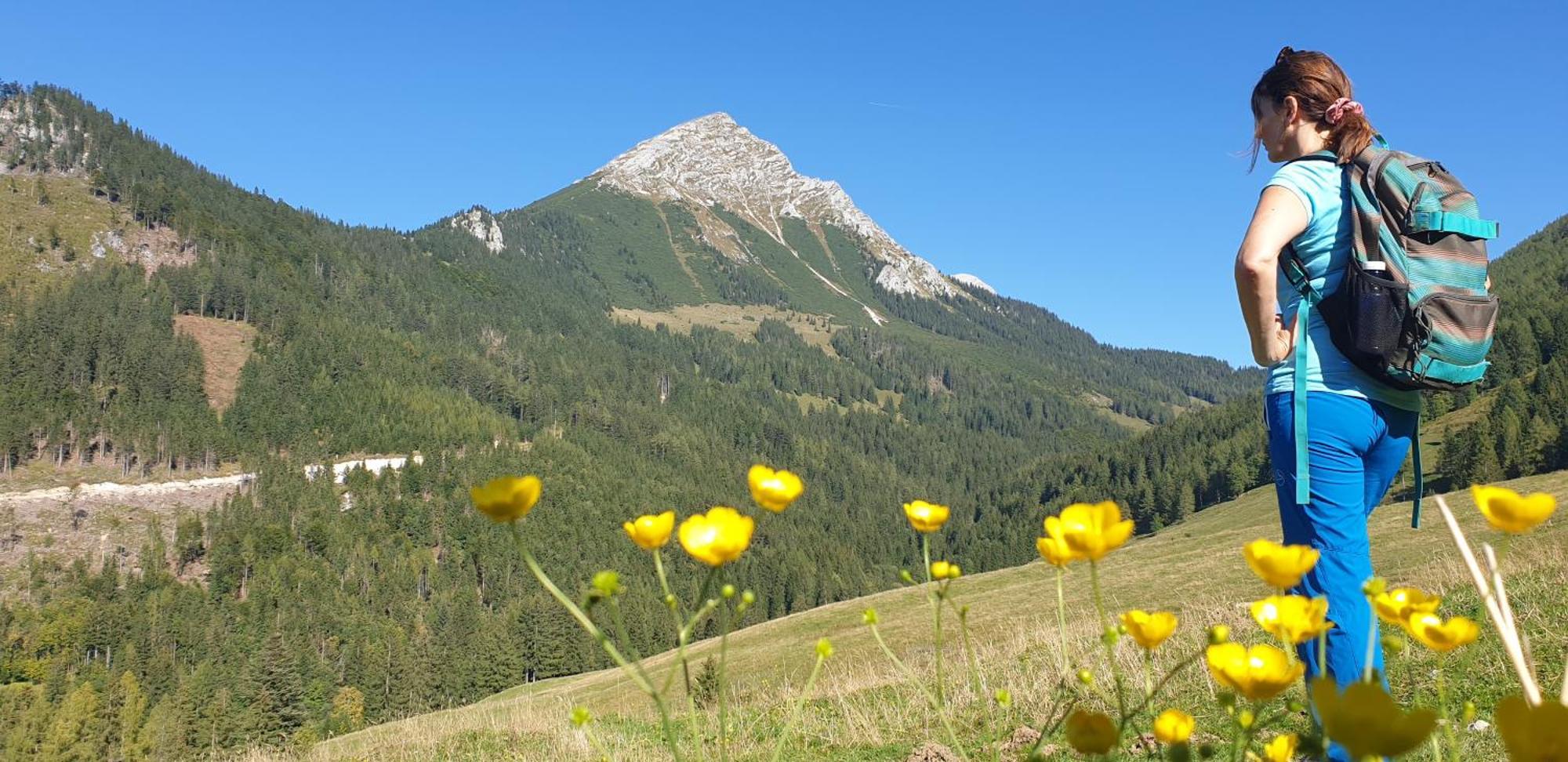 Ferienhaus Mountain View 皮恩山口附近施皮塔尔 外观 照片
